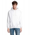 CONDOR Unisex Hoodie, Asche