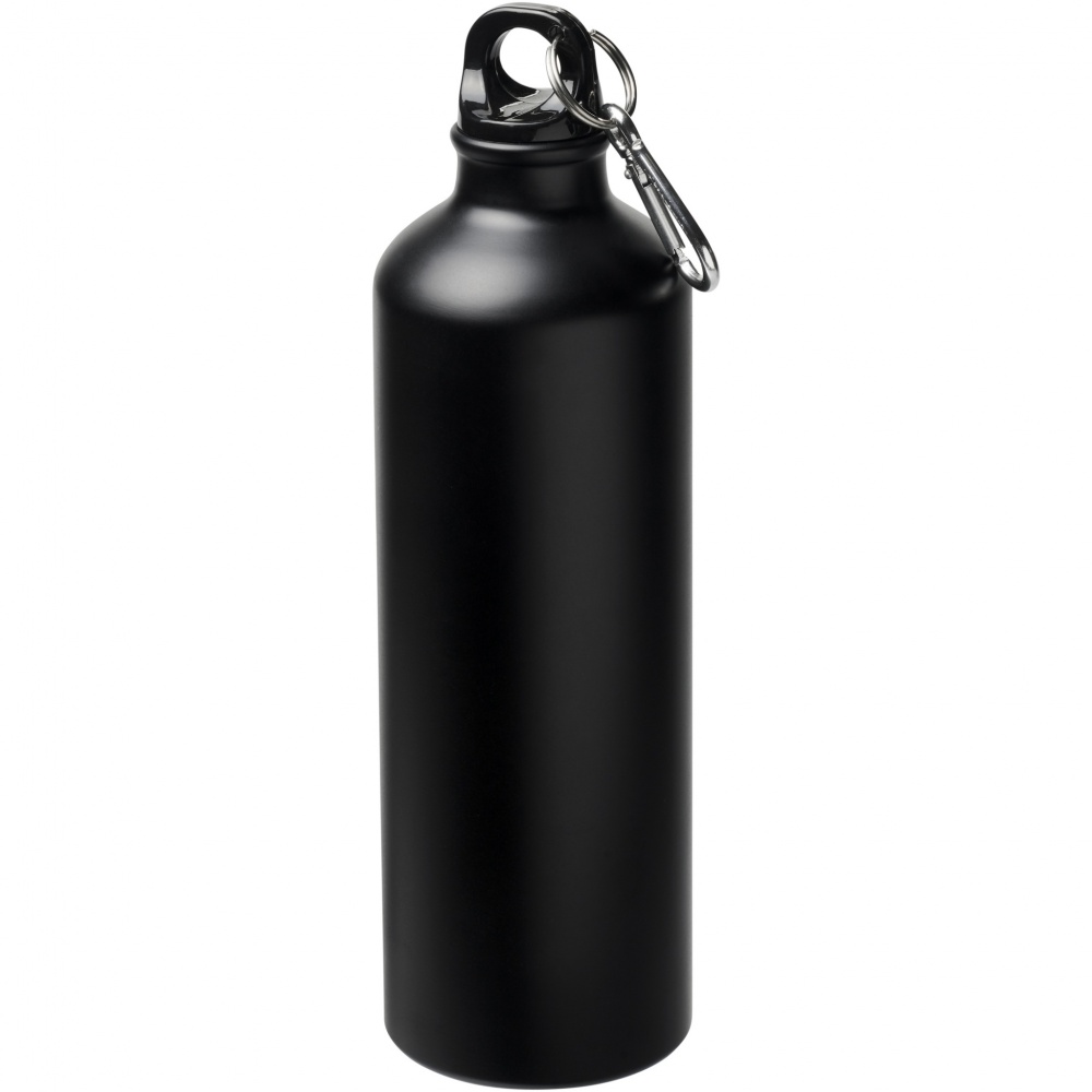 Logo trade corporate gift photo of: Oregon 770 ml matte water bottle with carabiner
