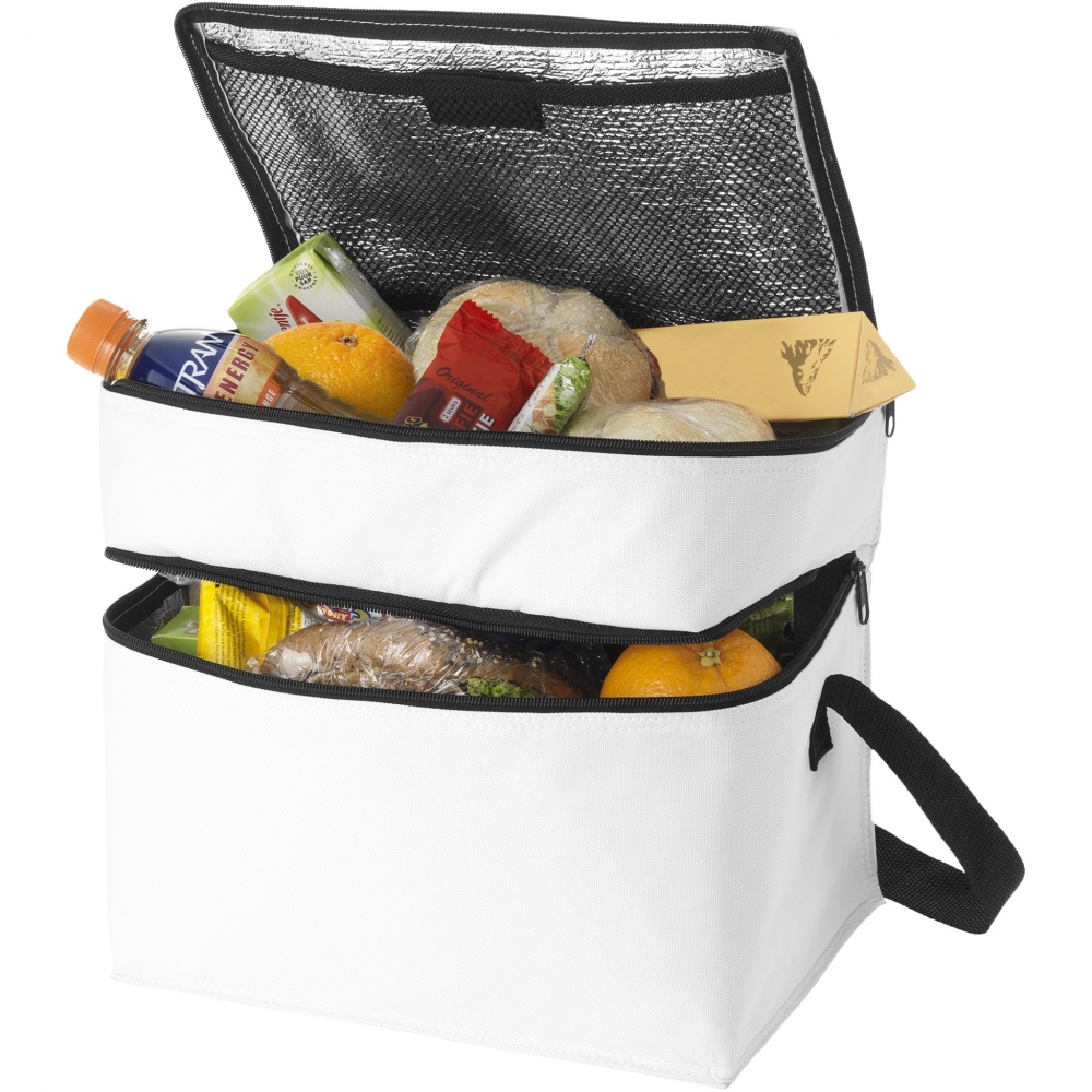 Logotrade advertising product image of: Oslo 2-zippered compartments cooler bag 13L