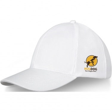 Logotrade corporate gift picture of: Drake 6 panel trucker cap