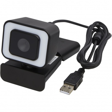 Logotrade promotional merchandise photo of: Hybrid webcam