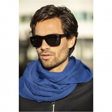 Logo trade promotional giveaway photo of: Eiger polarized sunglasses in recycled PET casing