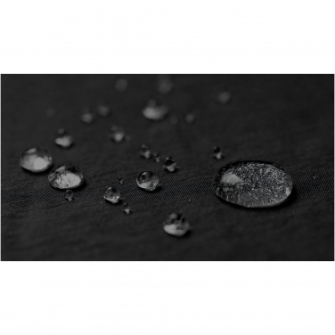 Logotrade promotional giveaway image of: Trailhead GRS recycled lightweight fanny pack 2.5L