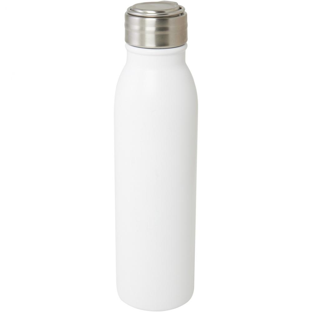 Logotrade corporate gift picture of: Harper 700 ml RCS certified stainless steel water bottle with metal loop