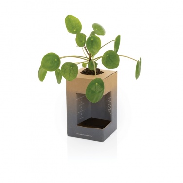 Logo trade promotional merchandise photo of: Avira Alya RCS Re-steel tumbler 300 ml