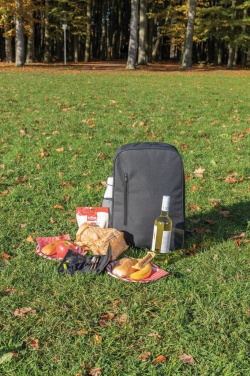 Logotrade promotional giveaway image of: Tierra cooler backpack