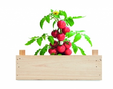 Logo trade promotional items image of: Tomato kit in wooden crate