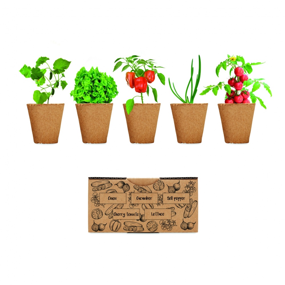 Logotrade promotional merchandise picture of: Salad growing kit