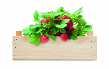 Logo trade promotional giveaways image of: Strawberry kit in wooden crate
