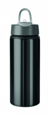 Logotrade promotional merchandise image of: Aluminium bottle 600 ml