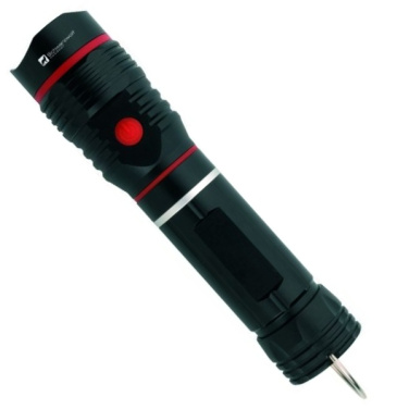 Logo trade promotional merchandise picture of: Flashlight BIWA Schwarzwolf