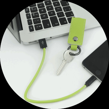 Logo trade corporate gifts image of: Keyring 59612900