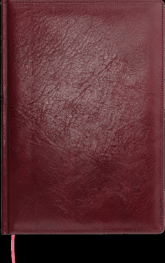 Logotrade promotional merchandise photo of: Calendar 642131