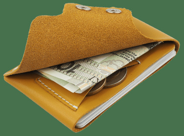 Logo trade promotional merchandise picture of: Wallet 384131