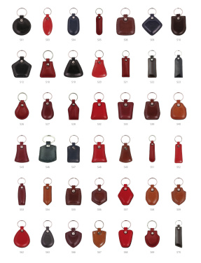 Logo trade business gifts image of: Keyring 178011