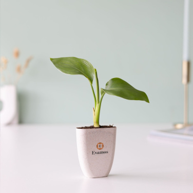 Logo trade promotional items image of: Treemore Letterbox Trees Bird of Paradise plant