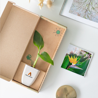 Logotrade promotional product image of: Treemore Letterbox Trees Bird of Paradise plant