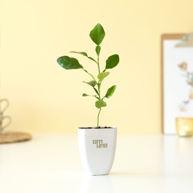 Logo trade promotional merchandise image of: Treemore Letterbox Trees Kaffir Lemon