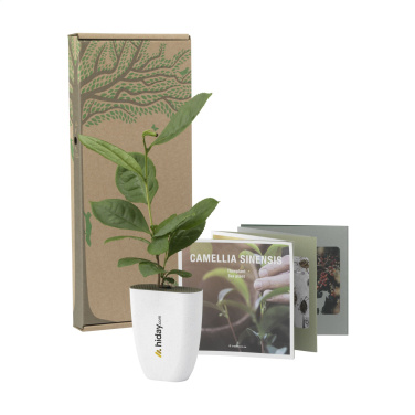 Logo trade promotional items image of: Treemore Letterbox Trees Tea plant