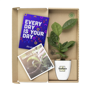 Logo trade advertising product photo of: Treemore Letterbox Trees Tea plant