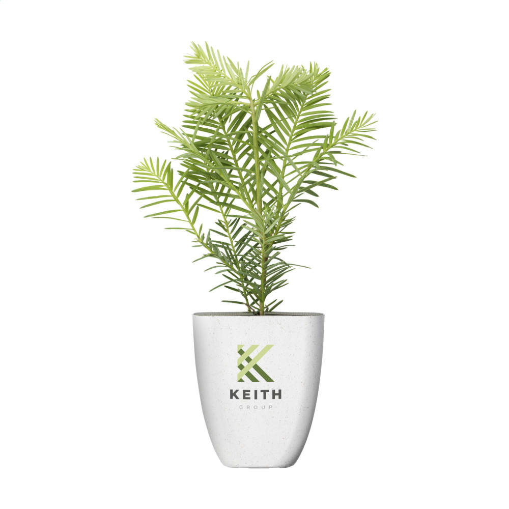 Logotrade promotional merchandise picture of: Treemore Letterbox Trees Giant Sequoia