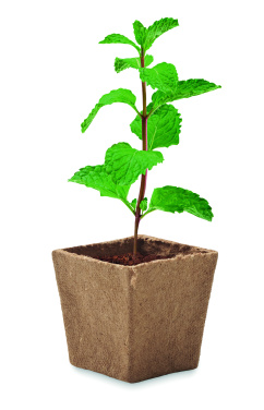 Logo trade promotional items picture of: Mint seeds growing kit