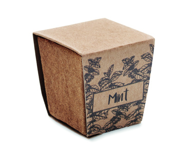 Logotrade promotional gift picture of: Mint seeds growing kit