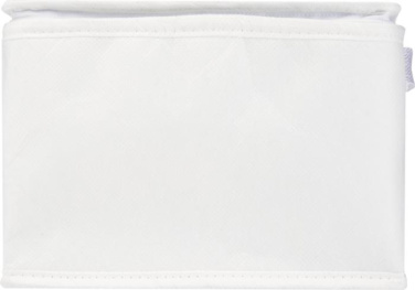 Logotrade corporate gift image of: Spectrum 6-can recycled non-woven cooler bag 4L