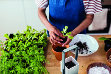 Logotrade advertising products photo of: Indoor garden with LED light