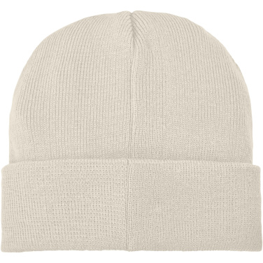 Logo trade promotional merchandise image of: Boreas beanie with patch