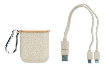 Logo trade corporate gifts image of: Cable set in case