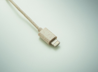 Logo trade promotional gifts picture of: Cable set in case