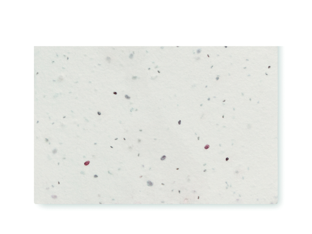 Logo trade corporate gifts picture of: Wildflower seed business card.