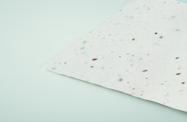 Logo trade promotional merchandise picture of: Wildflower seed business card.