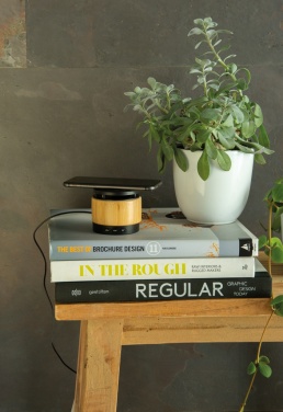 Logo trade ärikingitused foto: Bambusest juhtmevaba laadija kõlar