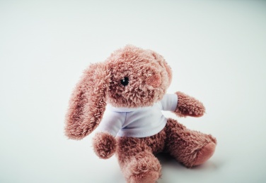 Logotrade firmakingi foto: Mängujänes kapuutsiga pluusiga