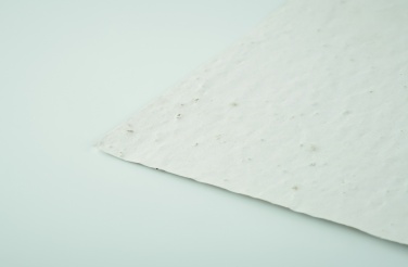 Logo trade reklaamkingitused foto: A5 metsalilleseemne paberileht