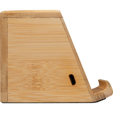 Logo trade ärikingituse pilt: Induktsioonkõlar NÜREMBERG