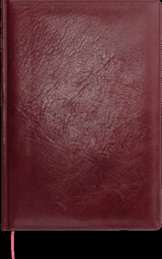 Logo trade meened foto: Kalendermärkmik 645131