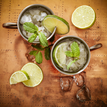 Logo trade firmakingitused foto: IsoMug 300 ml