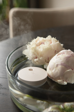 Logotrade ärikingitused pilt: Breevia RCS plastikust laetav ujuv õhuniisutaja