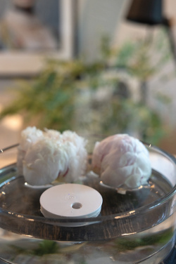 Logo trade meene pilt: Breevia RCS plastikust laetav ujuv õhuniisutaja