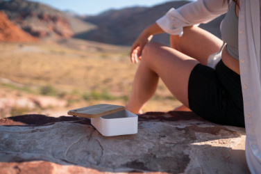 Logotrade ärikingid pilt: RCS lõunakarp bambusest kaanega