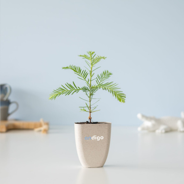 Logotrade mainoslahjat kuva: Treemore Letterbox Trees Giant Sequoia