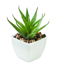Mini artificial plant